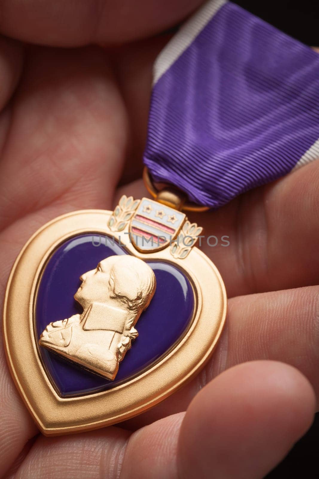 Male Hand Holding the Armed Forces Purple Heart Metal.