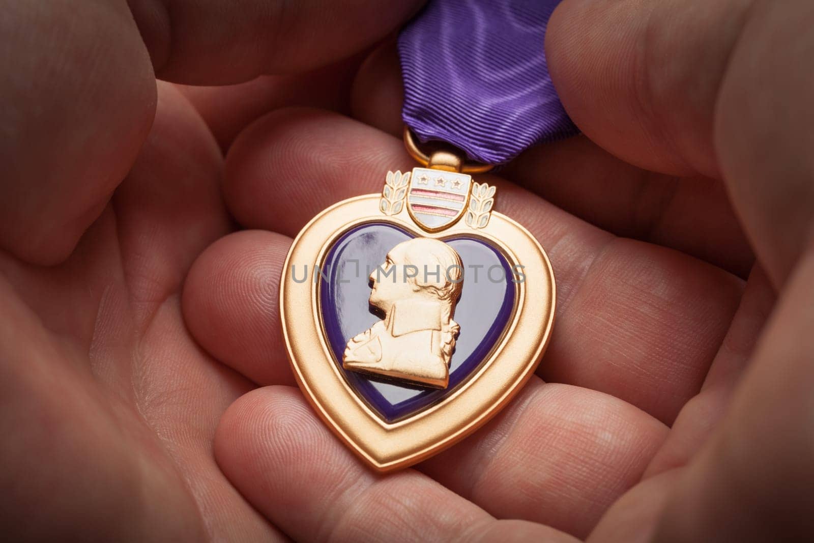 Male Hand Holding the Armed Forces Purple Heart Metal.