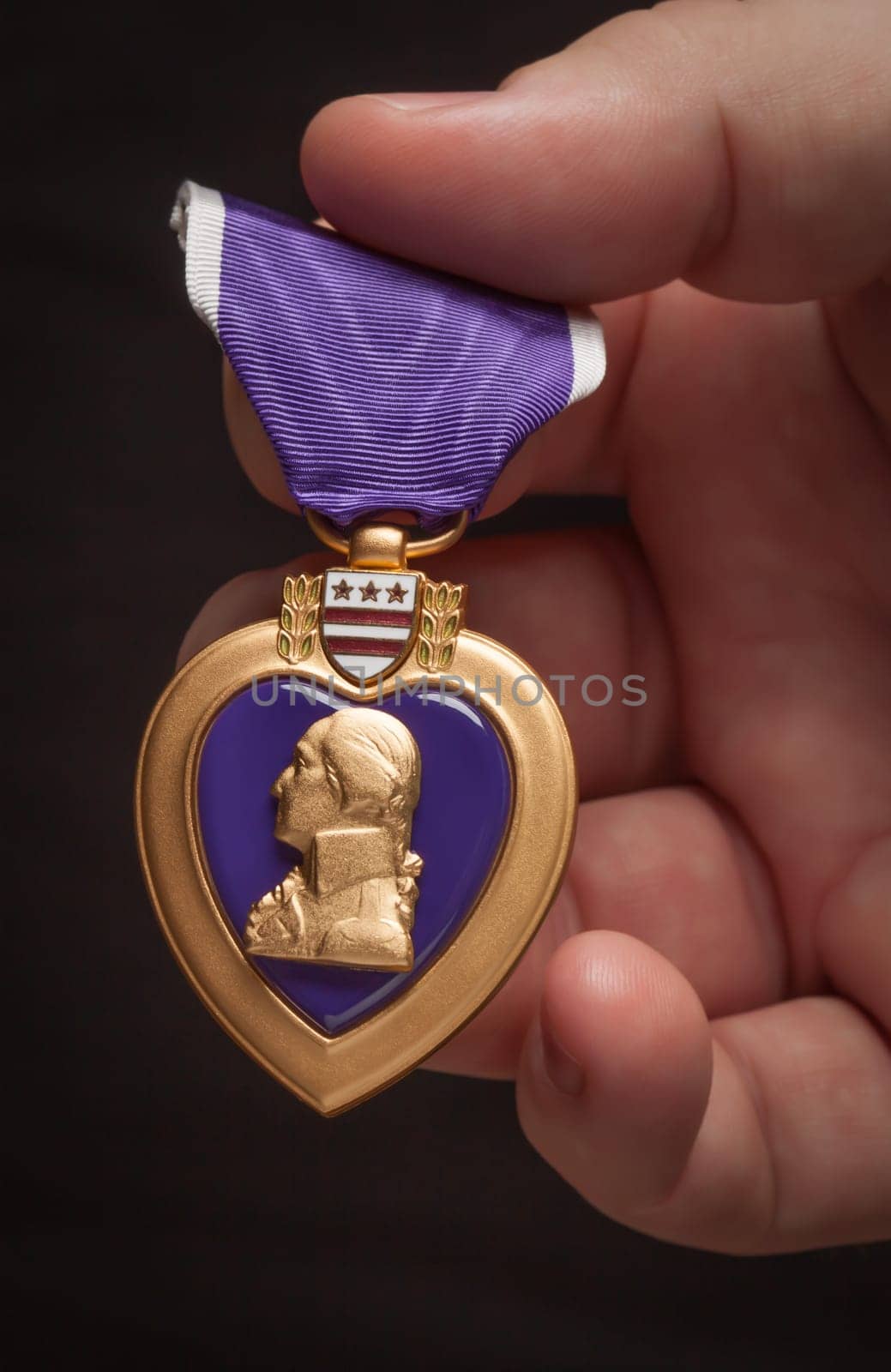 Male Hand Holding the Armed Forces Purple Heart Metal.