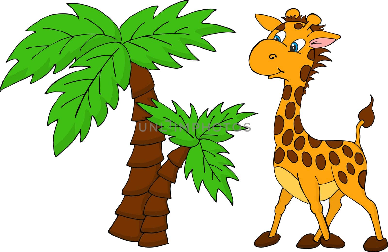 Cute Giraffe and palm tree. Vector illustration isolated on a white background