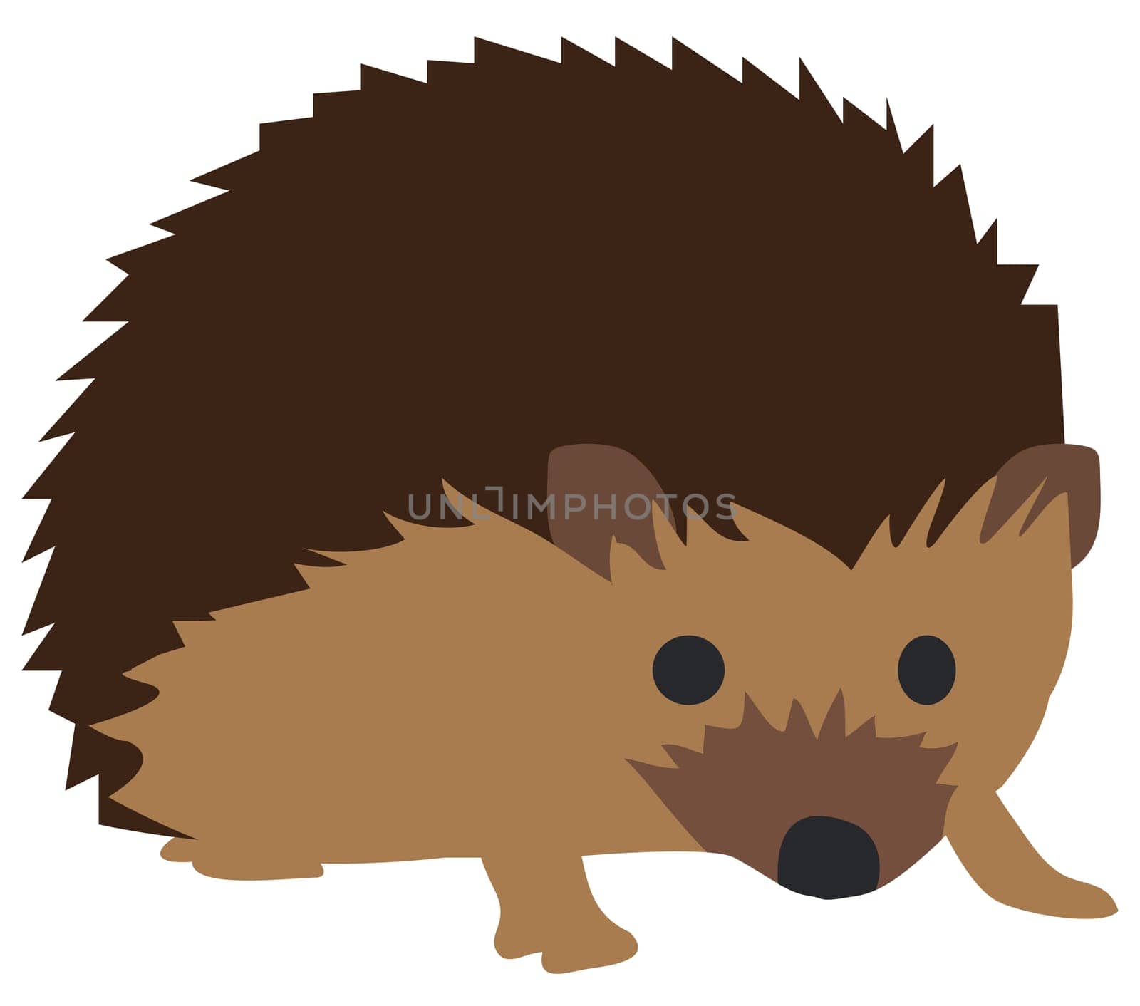 Vector illustration of cute hedgehog isolated on white background.