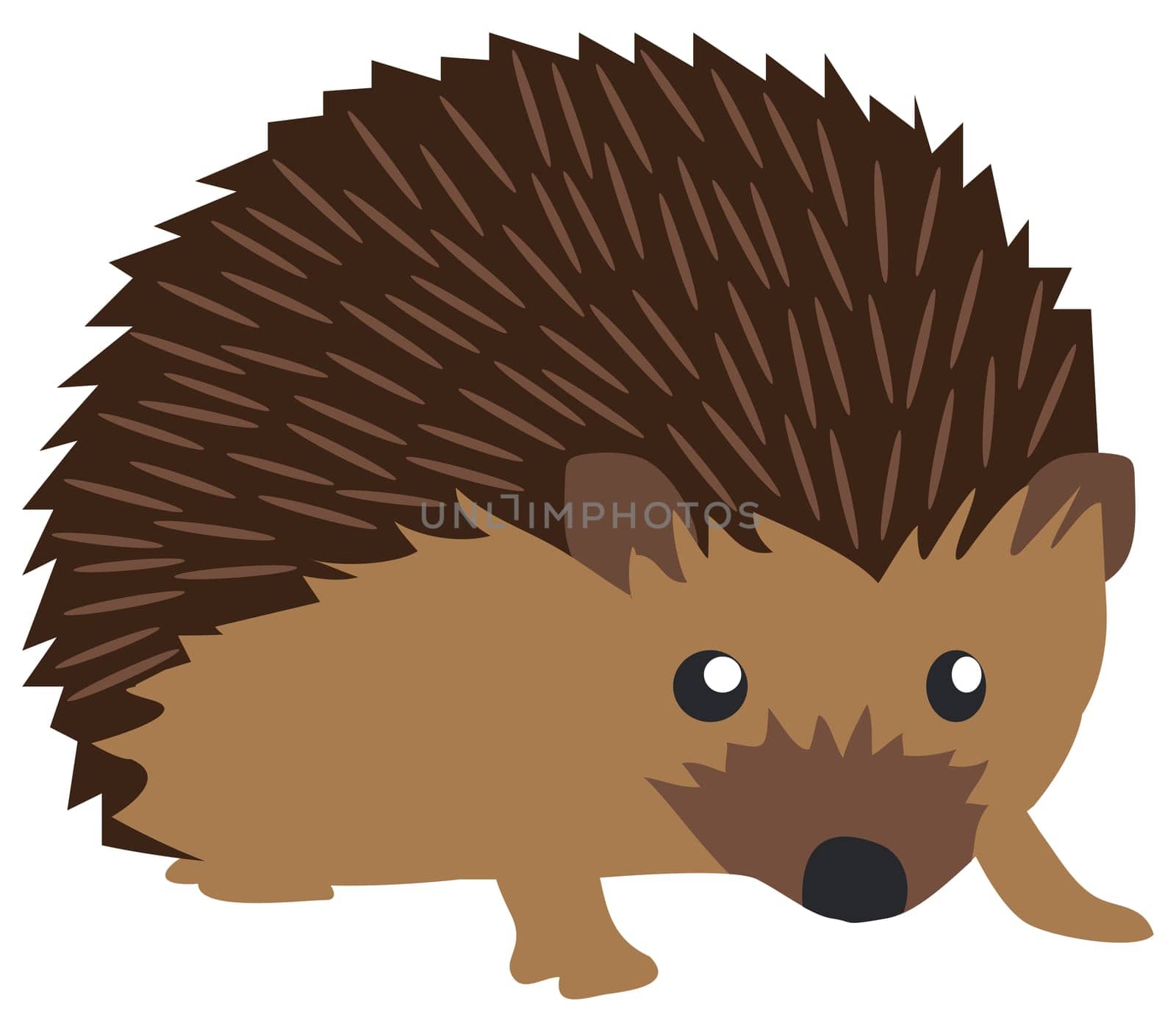 vector illustration of a cute hedgehog isolated on white background