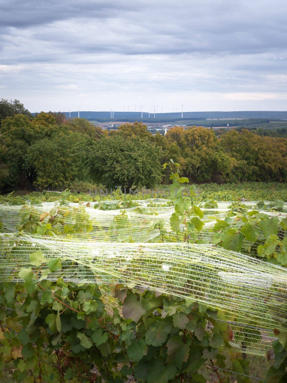 vineyard anti bird protection netting