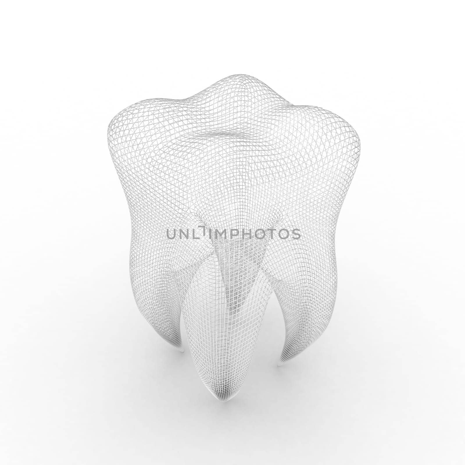 Illustration of structure of human tooth on a white background