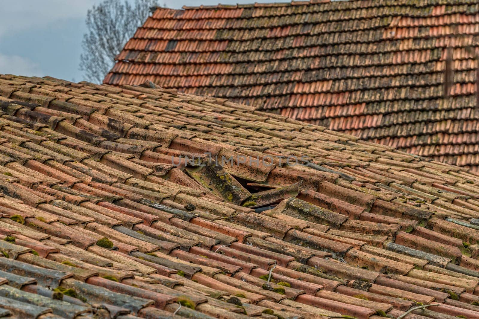 crash-prone roof