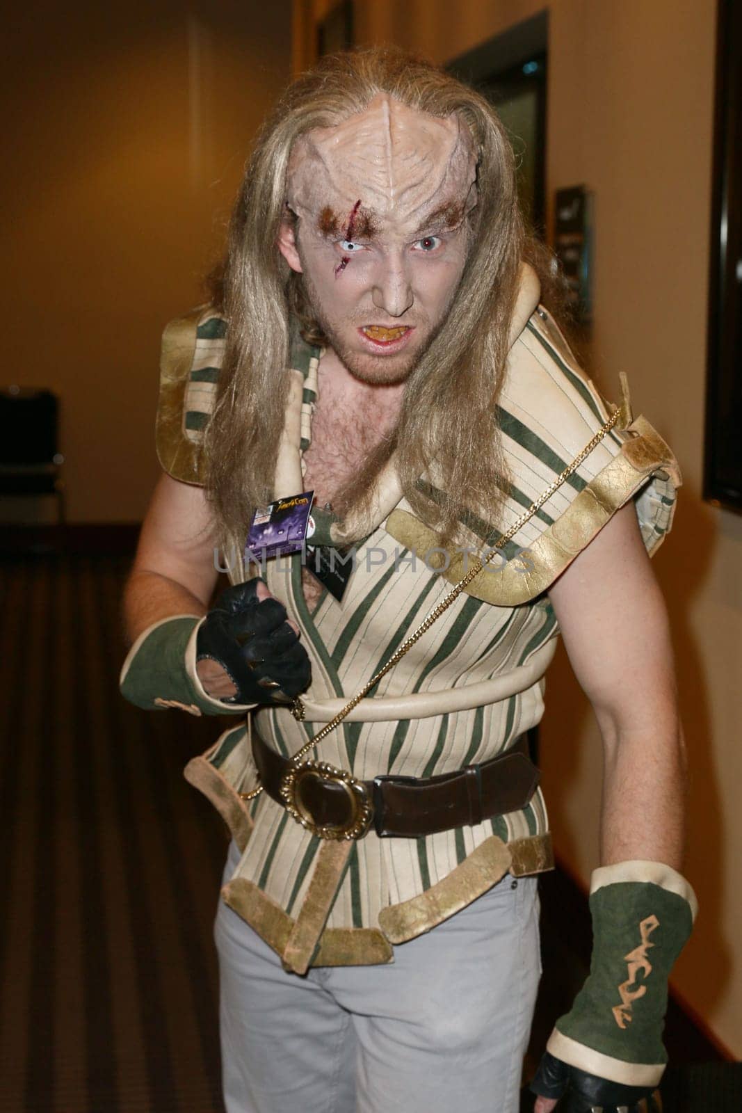 Impressions,disguised fans,Fedcon 24,Duesseldorf,23.05.2015