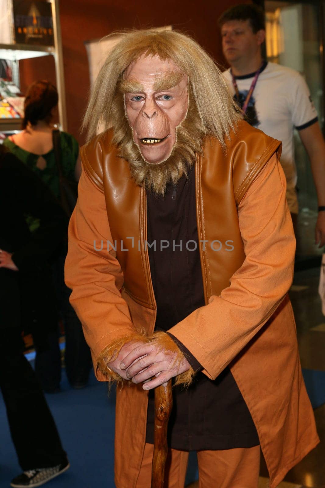 Impressions,disguised fans,Fedcon 24,Duesseldorf,23.05.2015