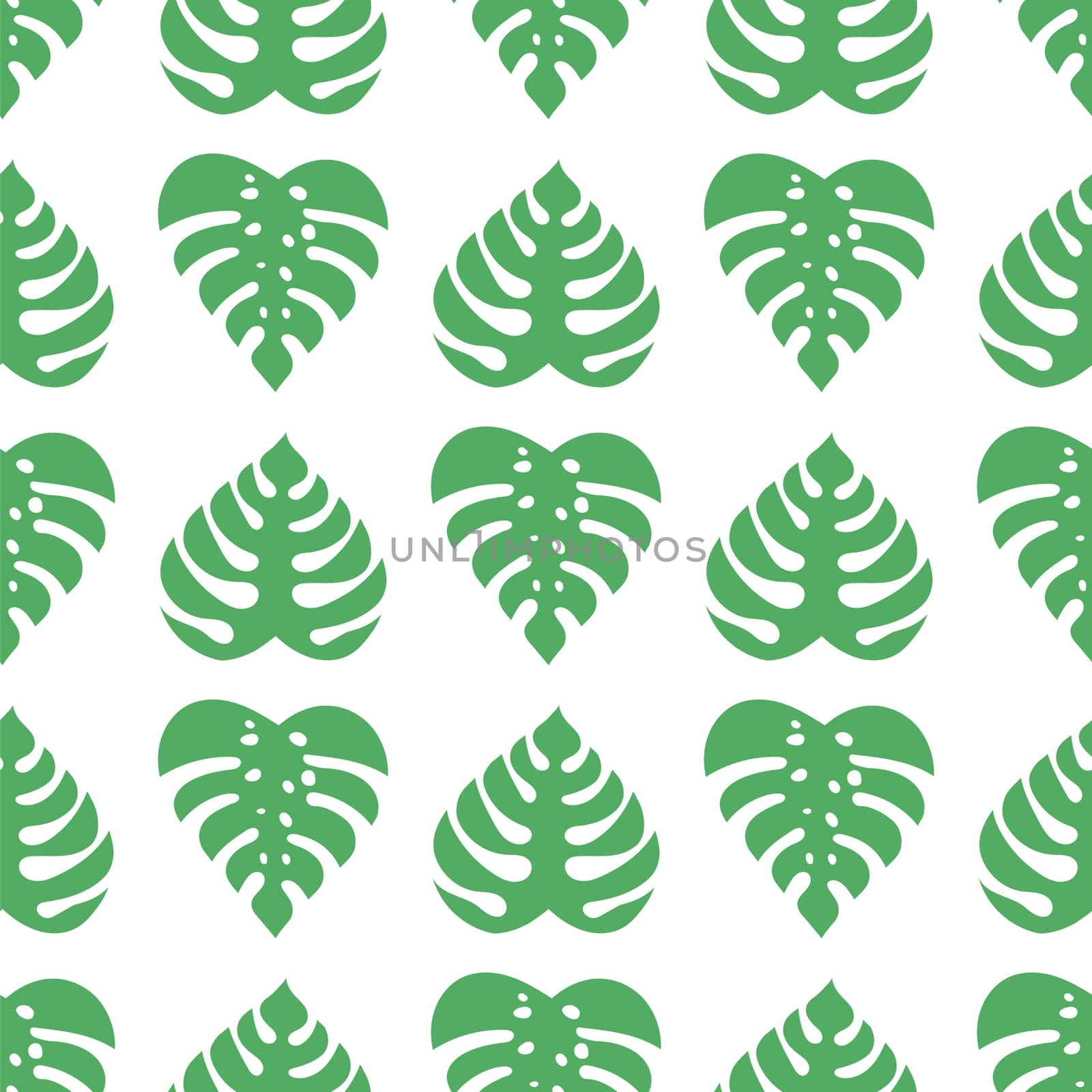 Icons with tropical palm leaves, monstera. Beautiful hand drawn exotic plants. Floral seamless background. Monsters isolated on white background. Monstera leaves, jungle.