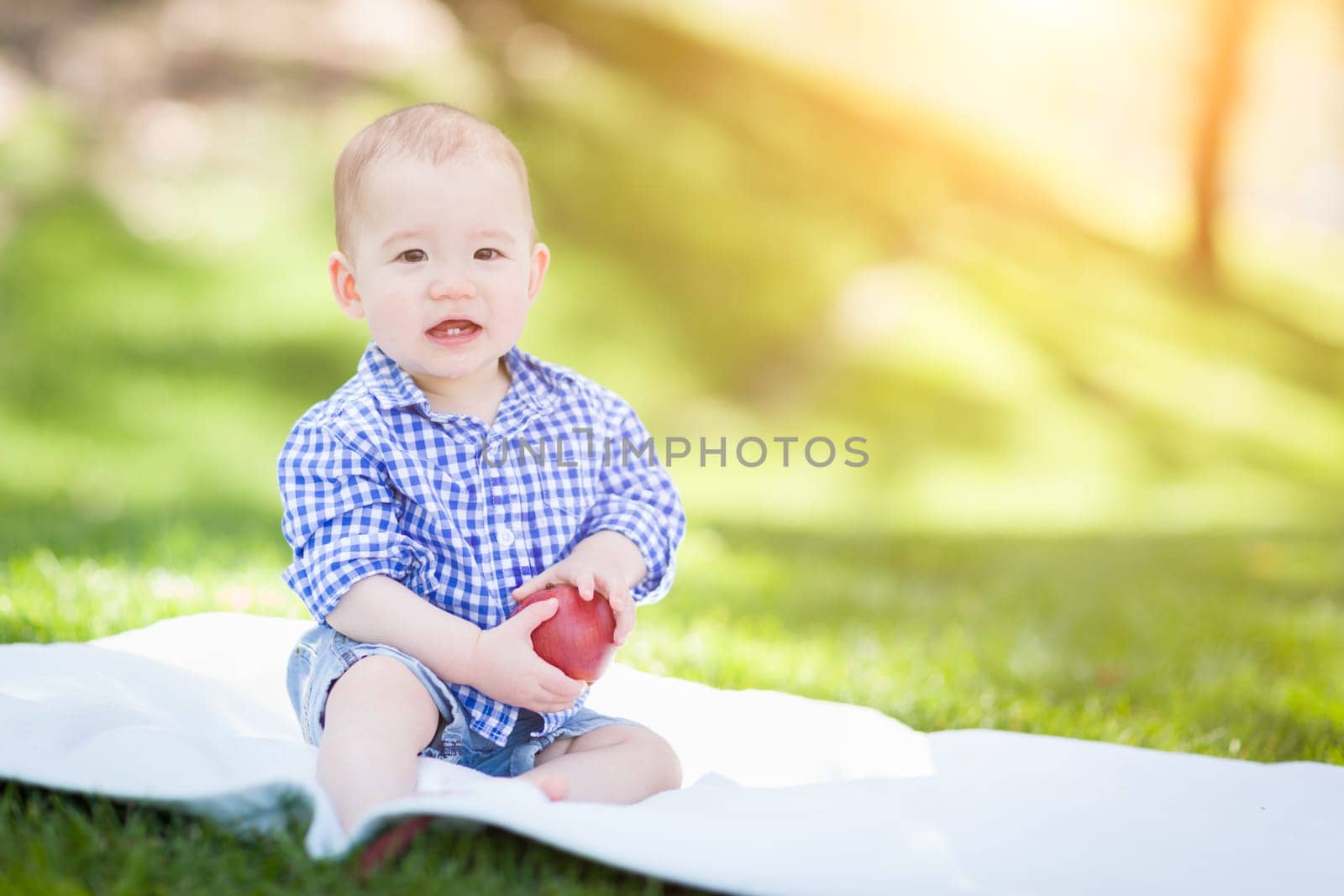 Mixed Race Infant Baby Boy Sitting on Blanket Holding Apple Outside At The Park