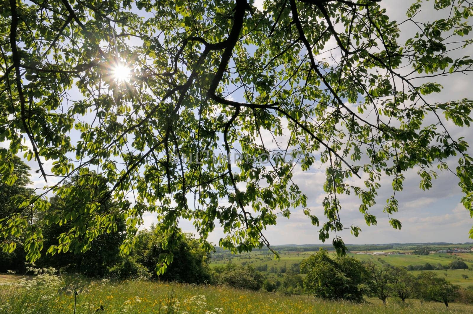 Spring