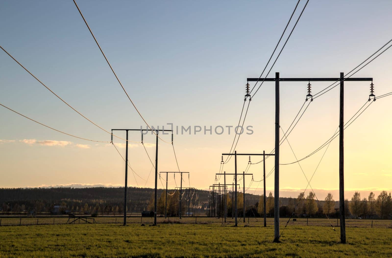 Electricity Pylons Trailing Away in Field