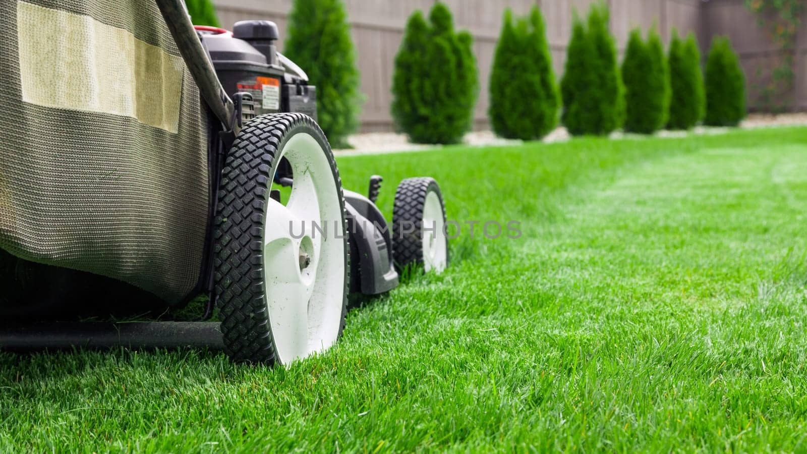 Lawn mower on green lawn