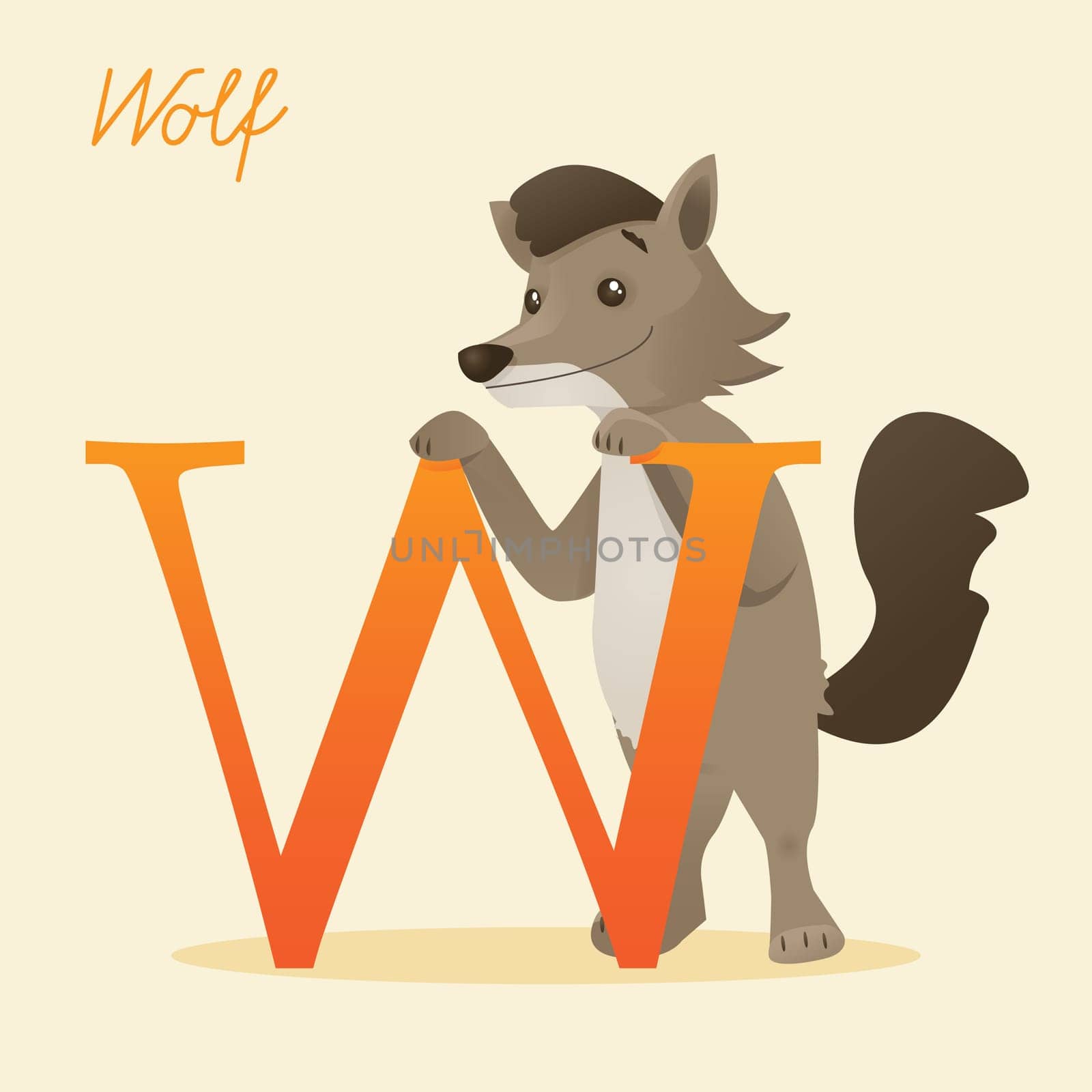 Animal alphabet with wolf,  vector illustration