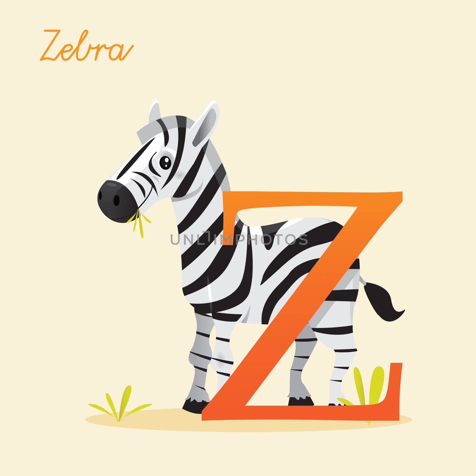 Animal alphabet with zebra,  vector illustration