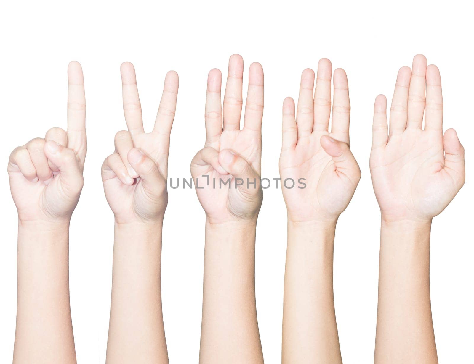 closeup hand gesture count one to five isolated white clipping path inside