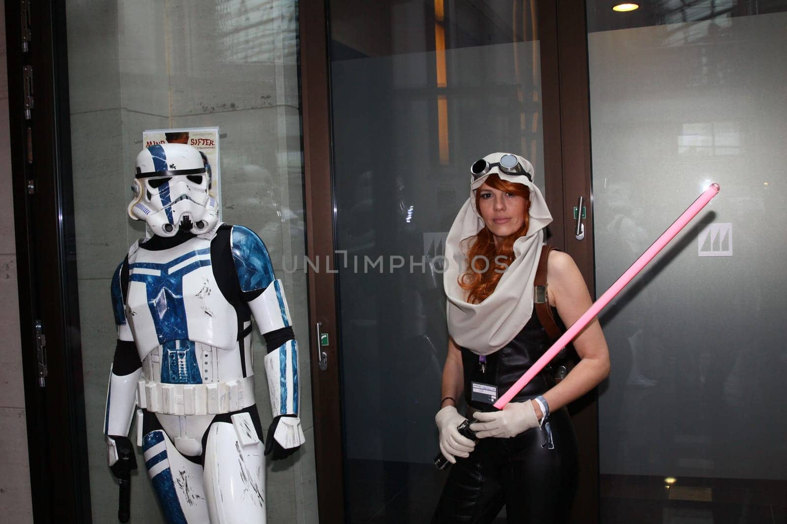 Impressions,disguised fans,Fedcon 24,Duesseldorf,23.05.2015