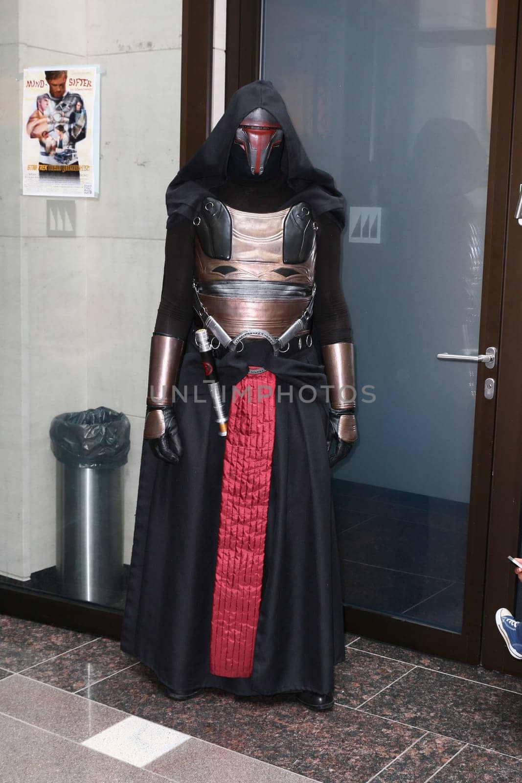 Impressions,disguised fans,Fedcon 24,Duesseldorf,23.05.2015