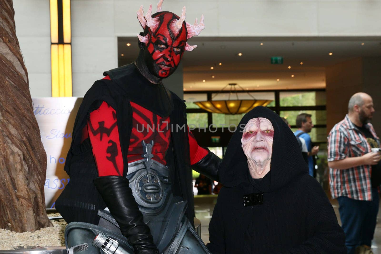 Impressions,disguised fans,Fedcon 24,Duesseldorf,23.05.2015