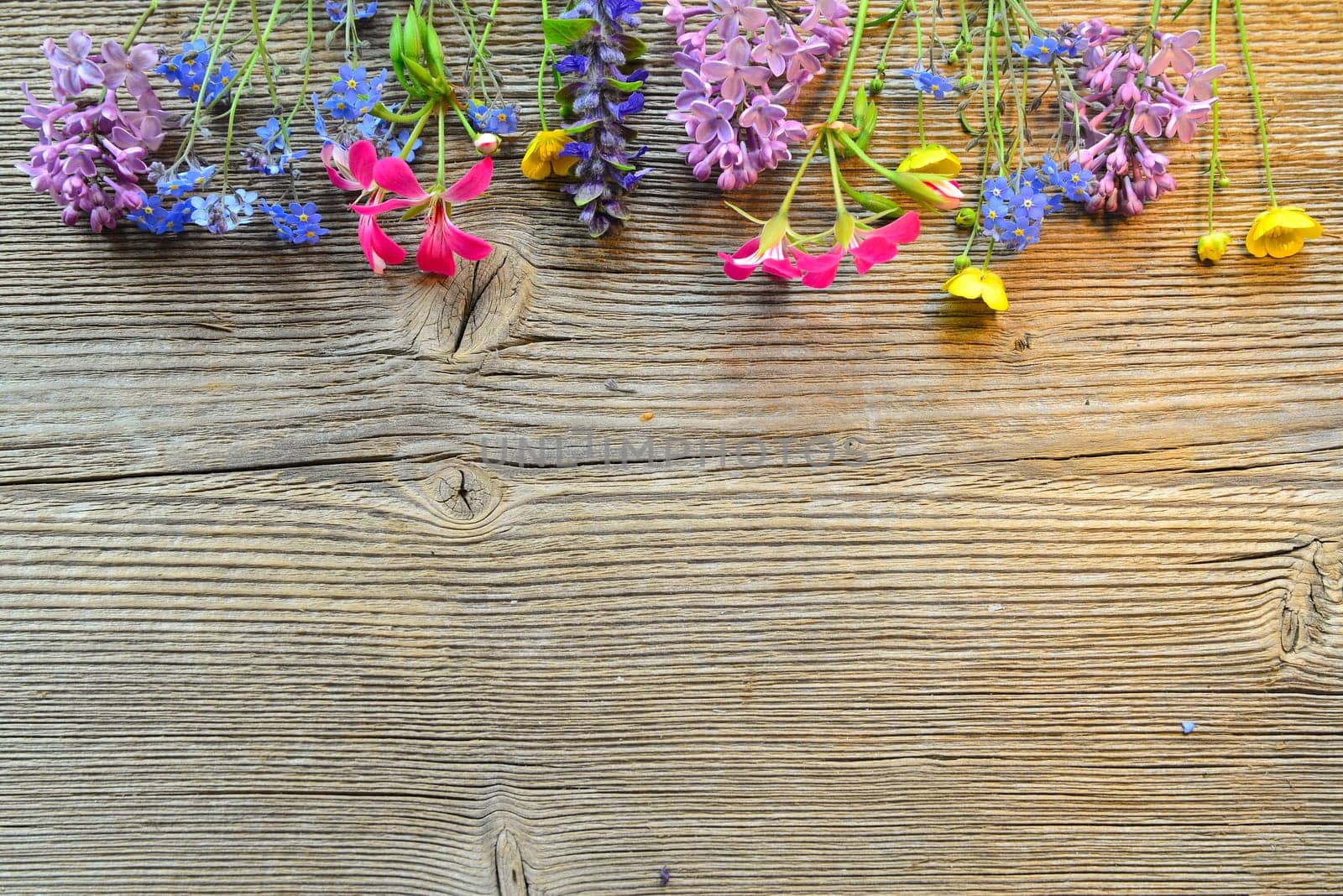 flowers on a wooden board