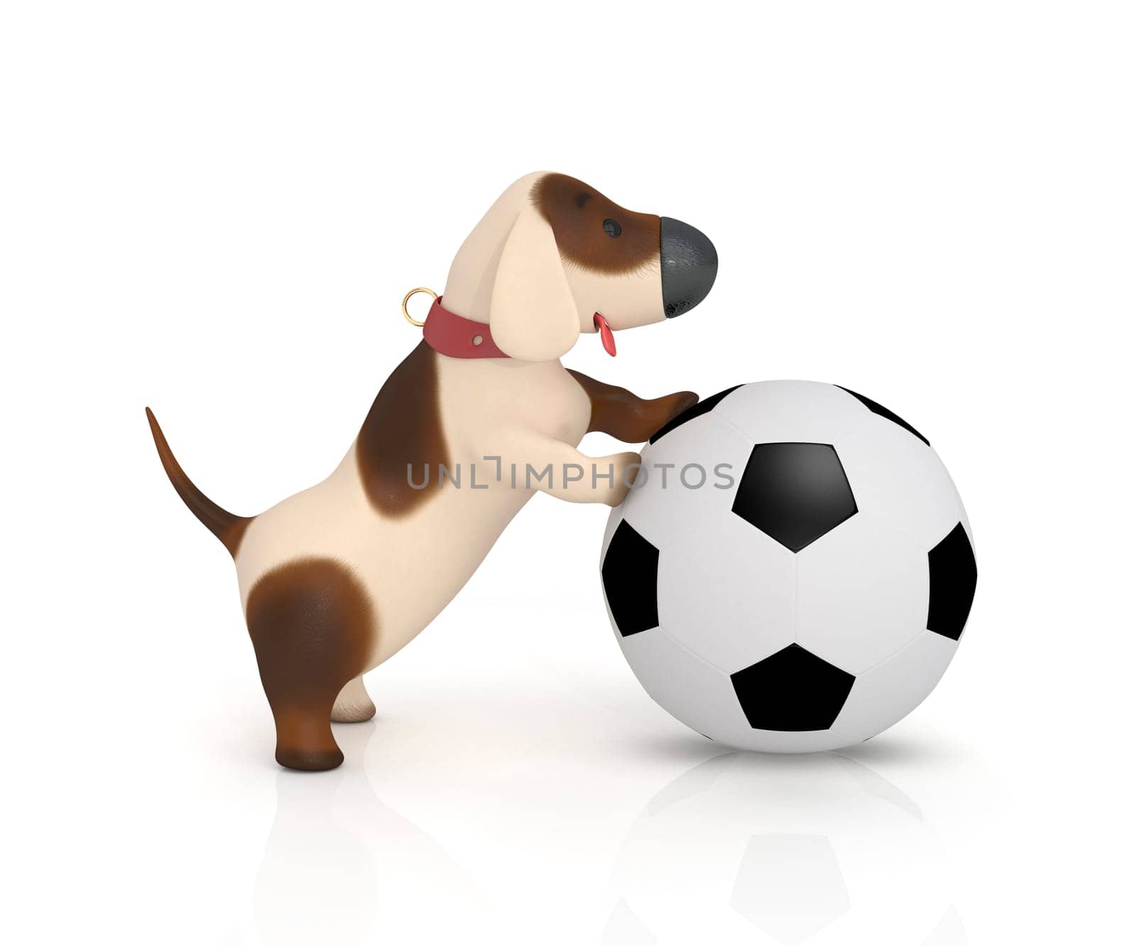 The puppy plays cheerful game.