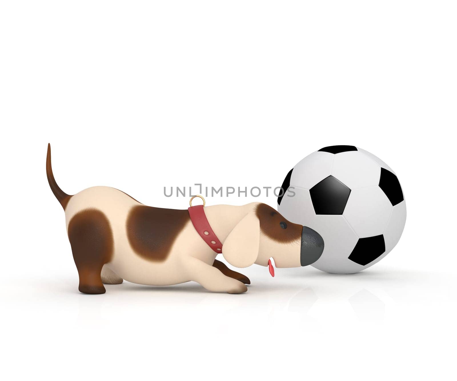 The puppy plays cheerful game.