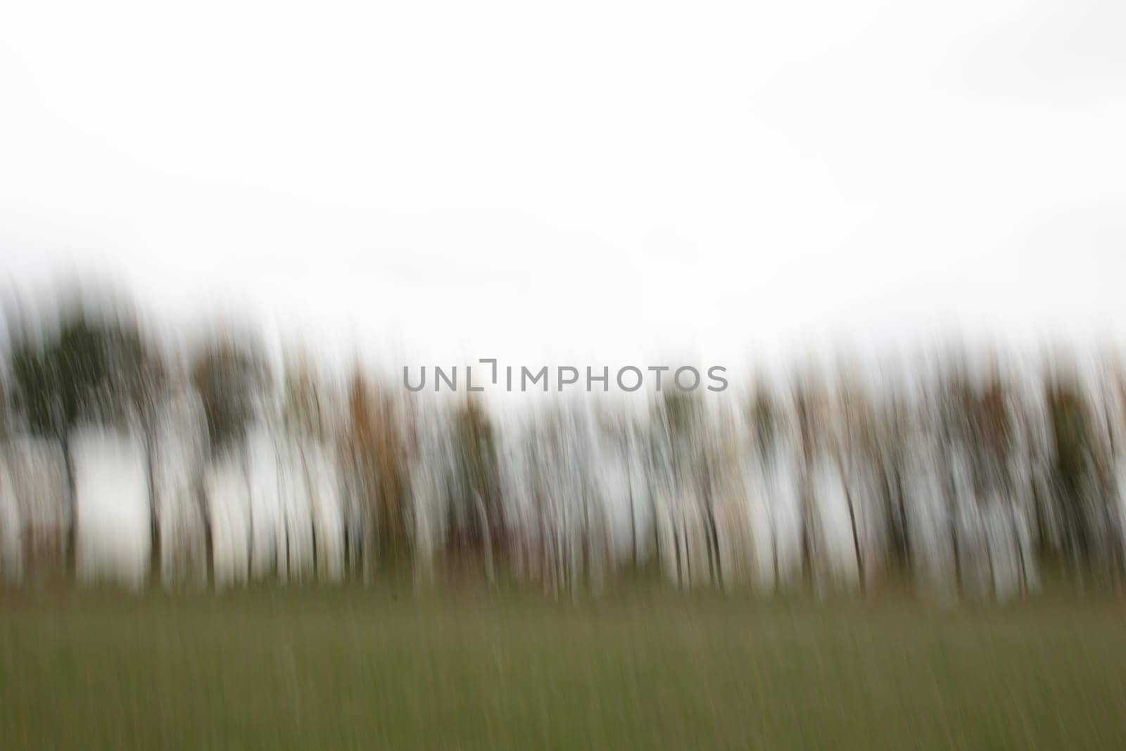 Motion blurred foliage and trees in autumn