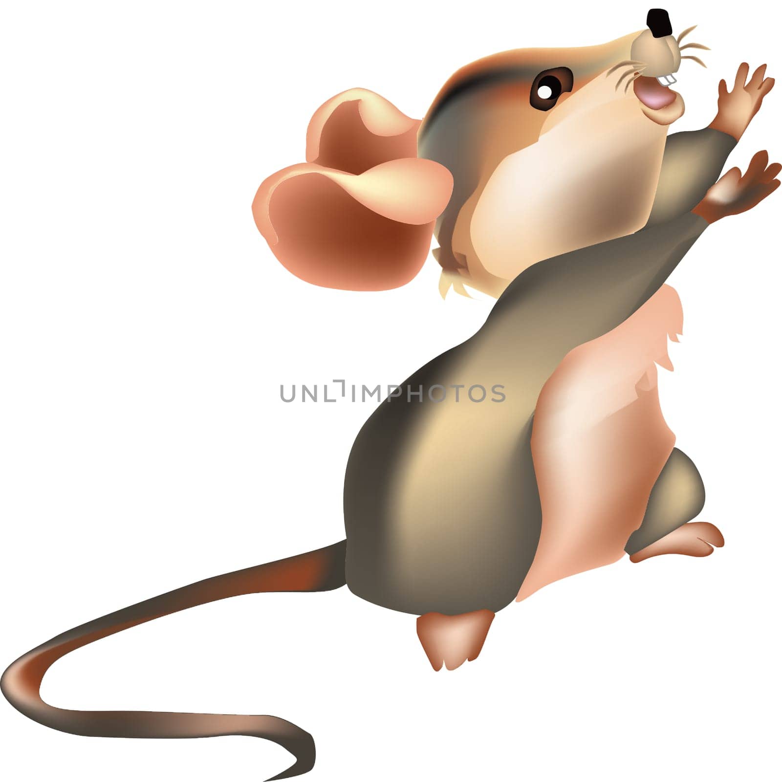 Vector image of Mouse