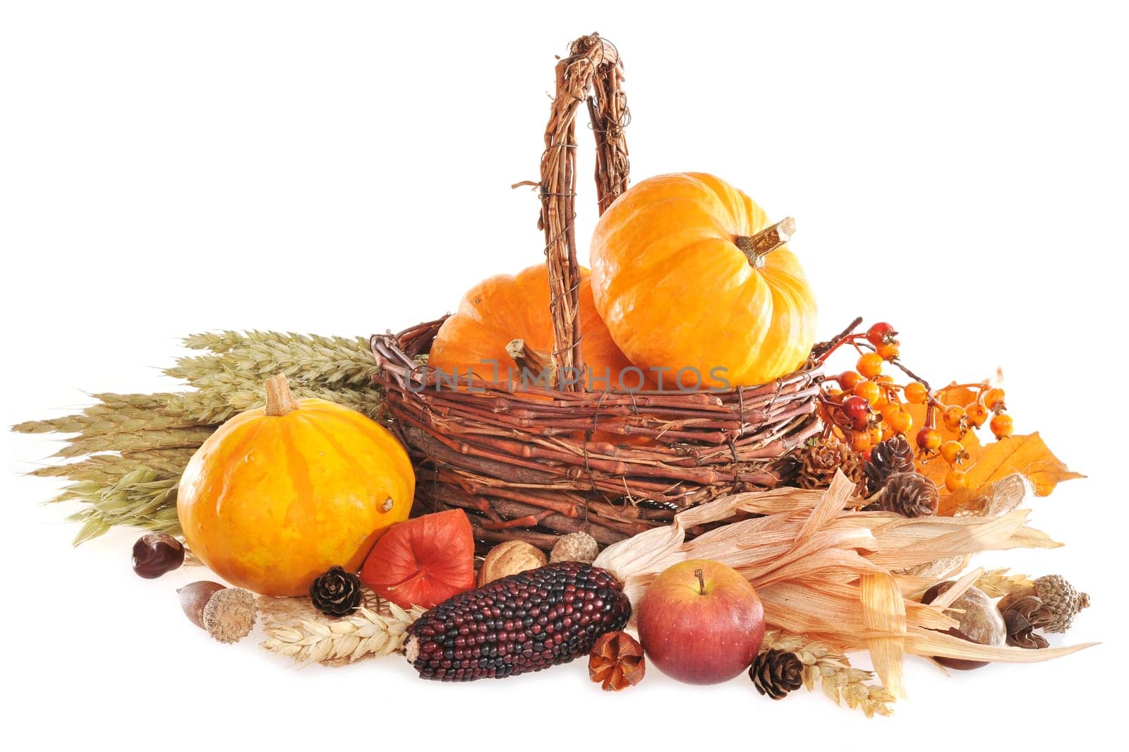 Thanksgiving - various pumpkins,berries,nuts and grains in the Rattankörbchen on a white background with text space