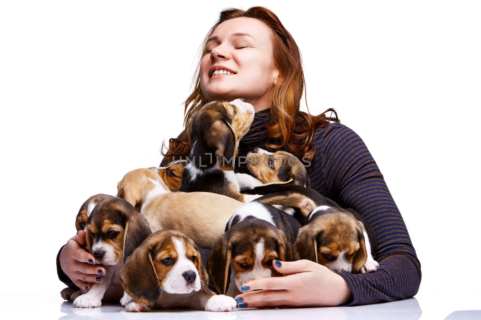 The happy  woman and big group of a beagle puppies on white background