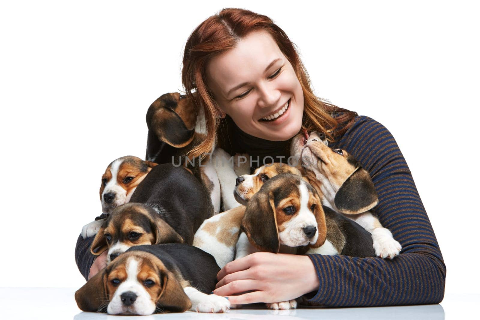 The happy  woman and big group of a beagle puppies on white background