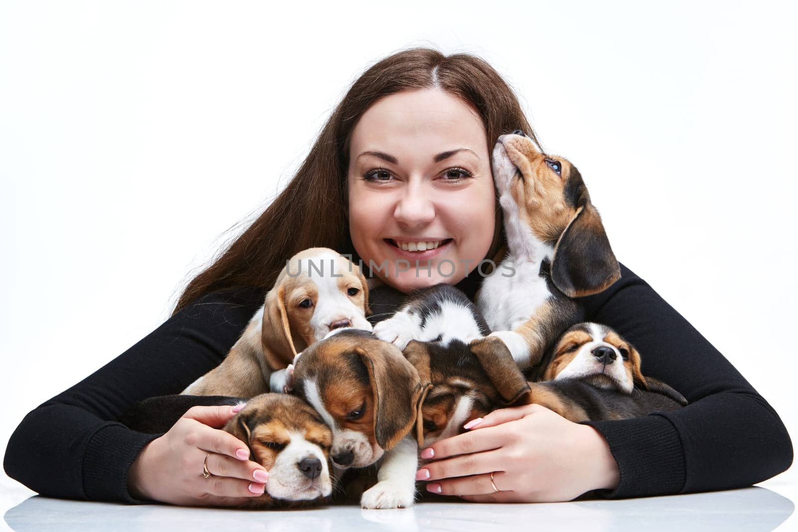 The happy  woman and big group of a beagle puppies on white background