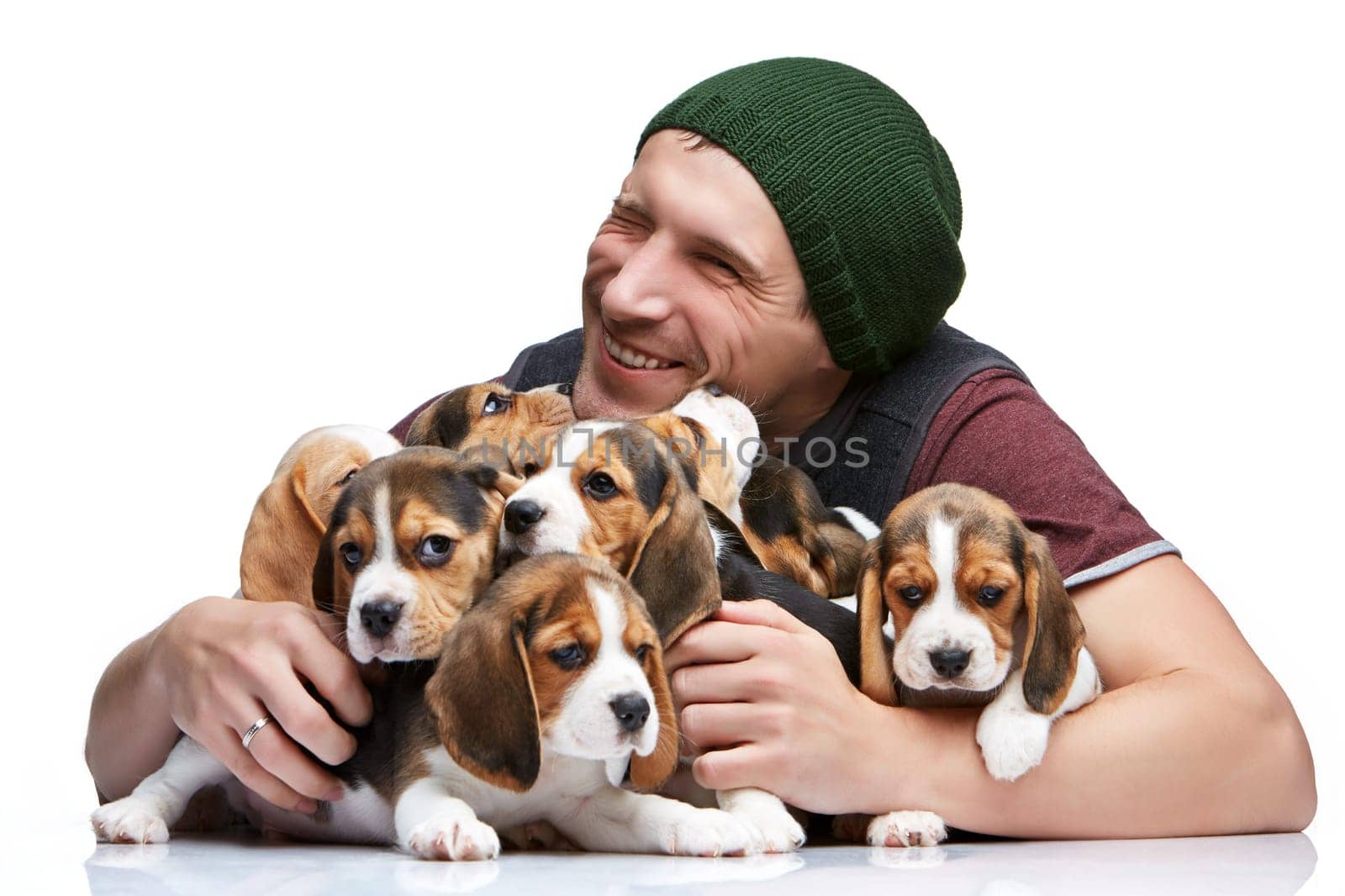 The happy man and big group of a beagle puppies on white background
