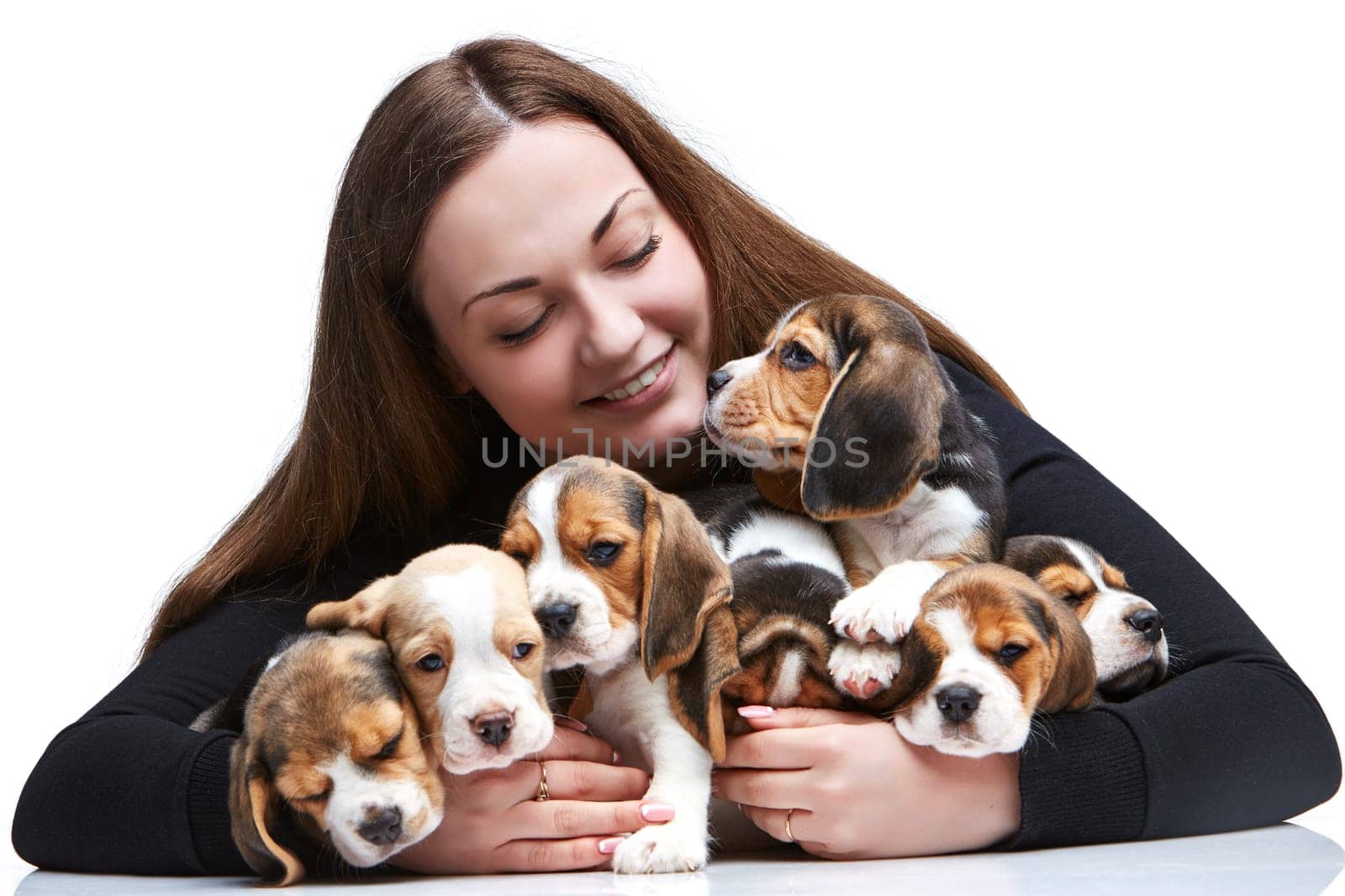 The happy  woman and big group of a beagle puppies on white background