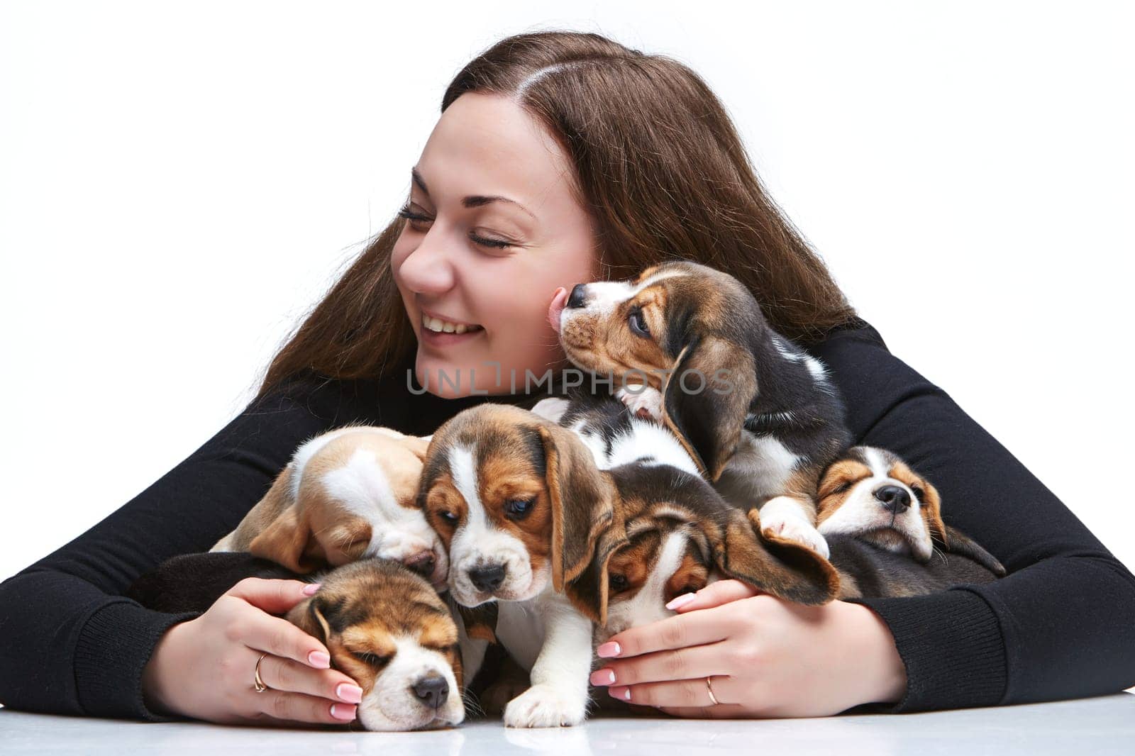 The happy  woman and big group of a beagle puppies on white background
