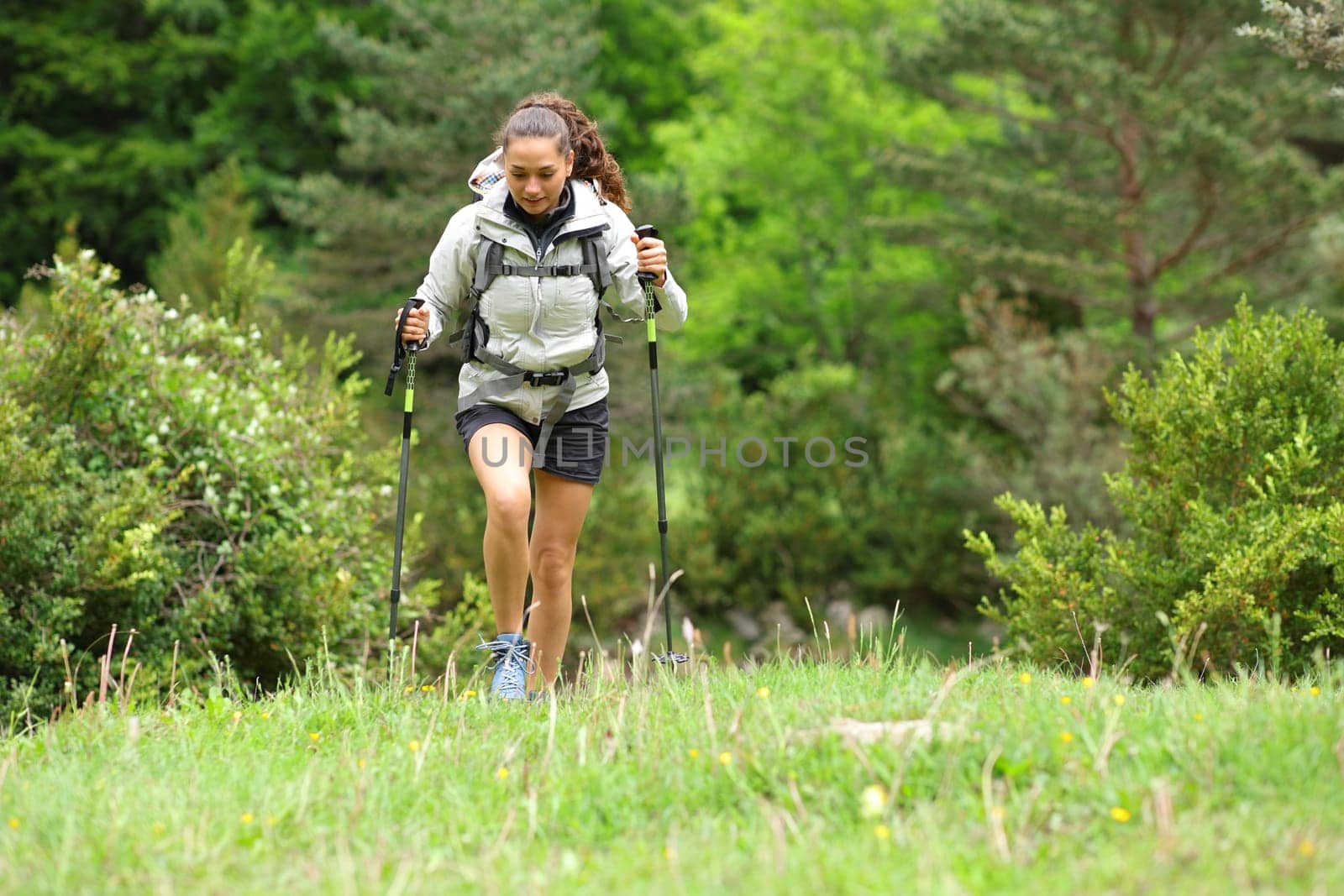 Front view portrait of a hiker walking towards you in a forest