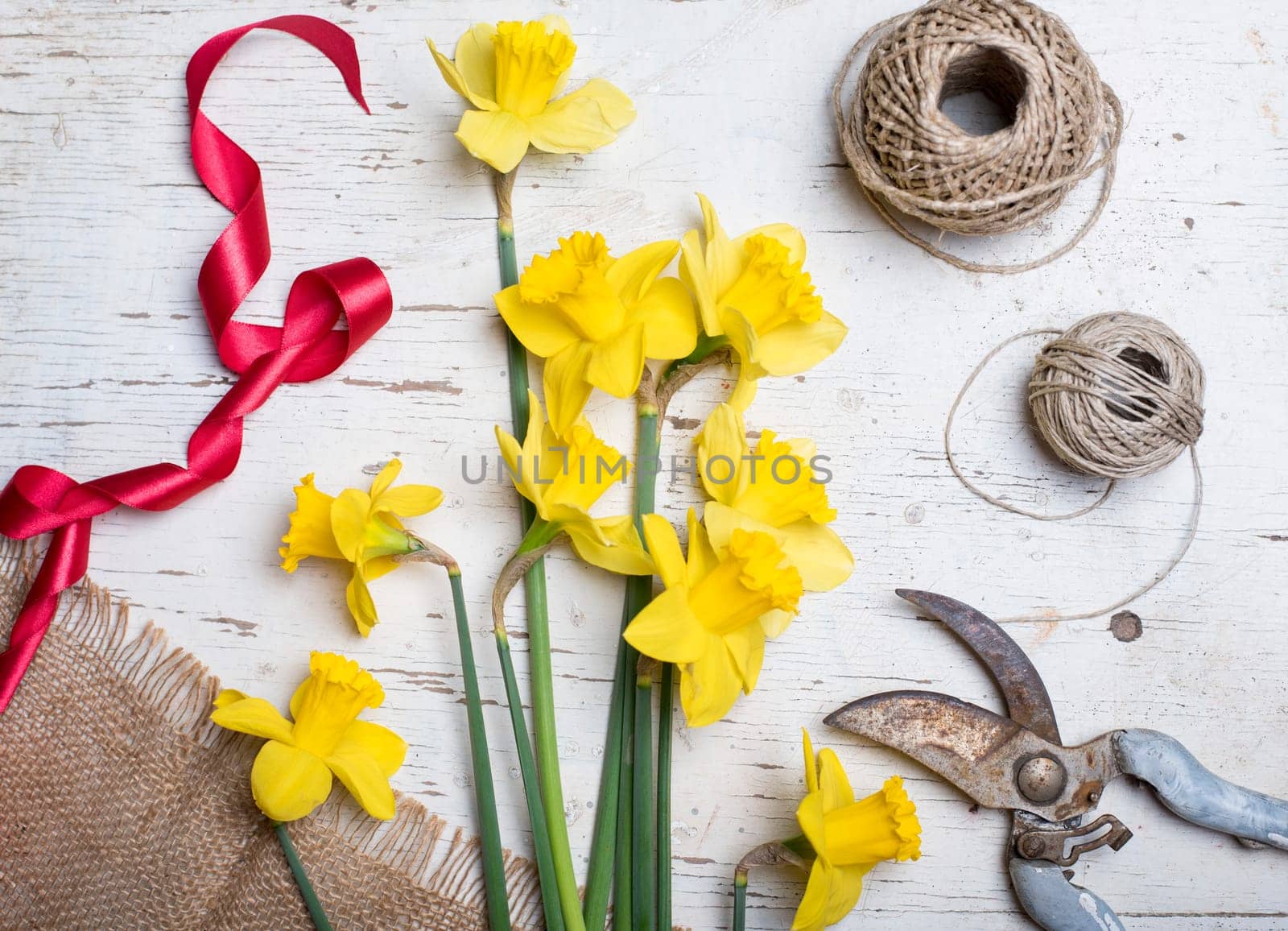 .Top view of florist's tool and flower bouquet with narcissus and decorative ribbon. Gardening spring still life concept.