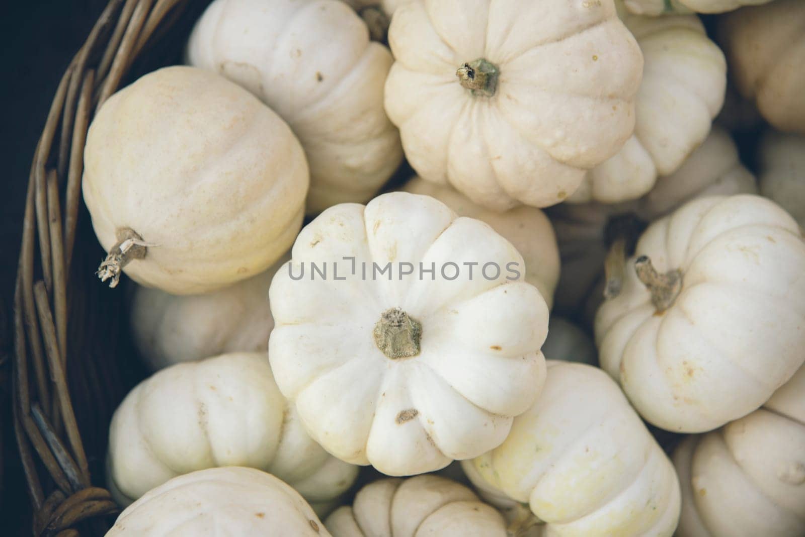 Halloween and thanksgiving pumpkins decoration. Traditional autumn pumpkins background. Seasonal fall holiday concept.