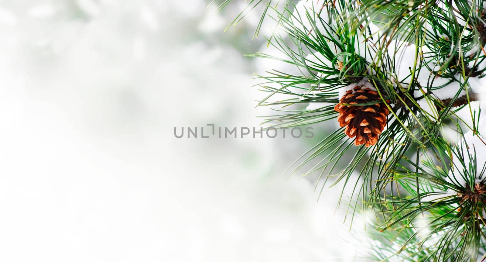 Winter season holiday border background with christmas tree and pone cone closeup. Fir tree brunch with show frame over bokeh background with copyspace. Christmas and new year card design.