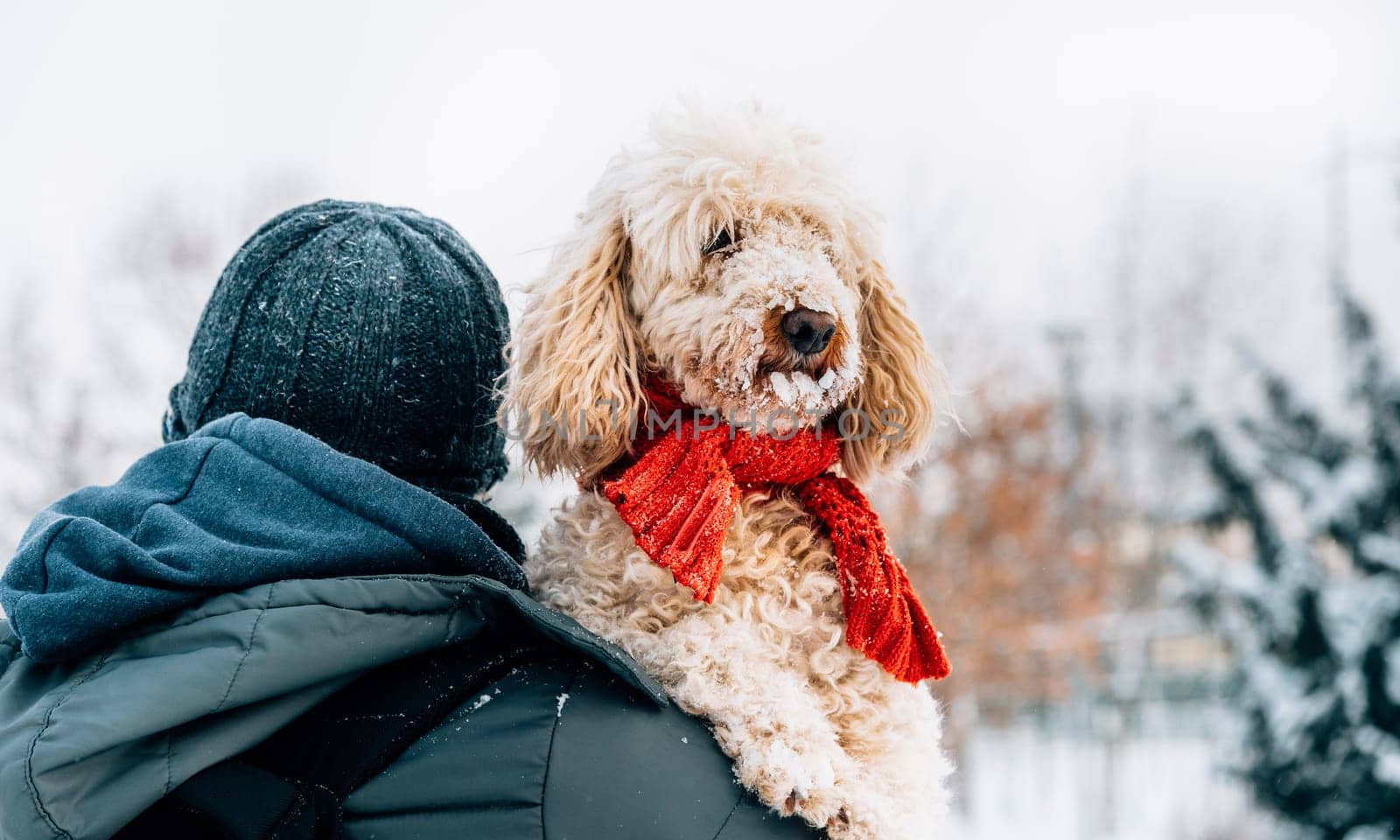 Happy pet and his owner having fun in the snow in winter holiday season. Winter holiday emotion. Man holding cute puddle dog with red scarf. Film filter image.
