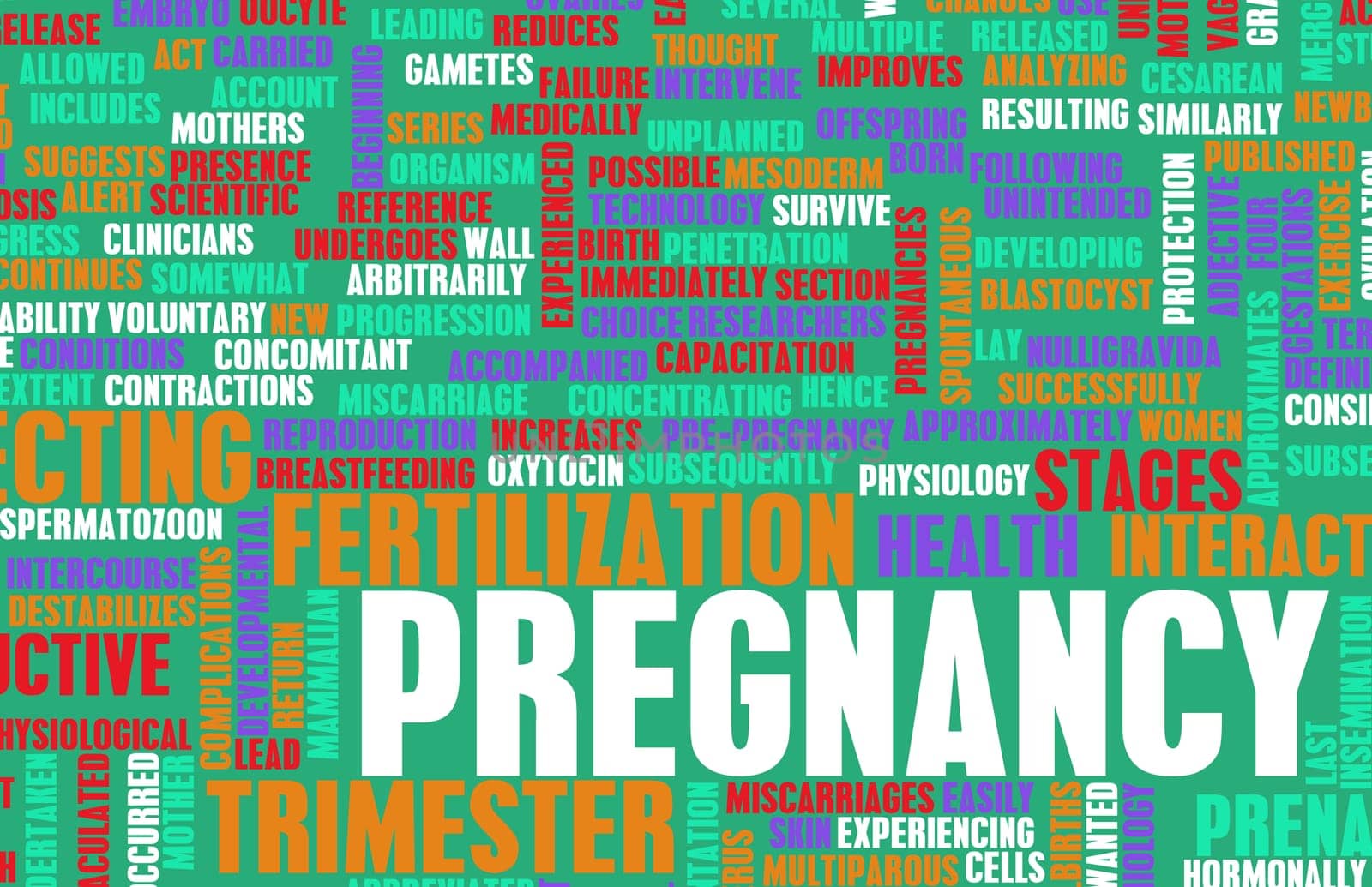 Pregnancy Concept Preparation of an Expecting Parent