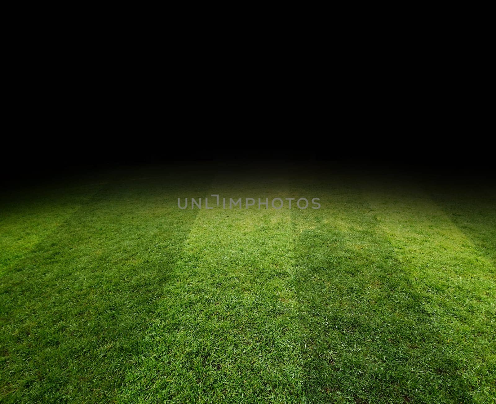Green soccer field, illuminated stadium in night
