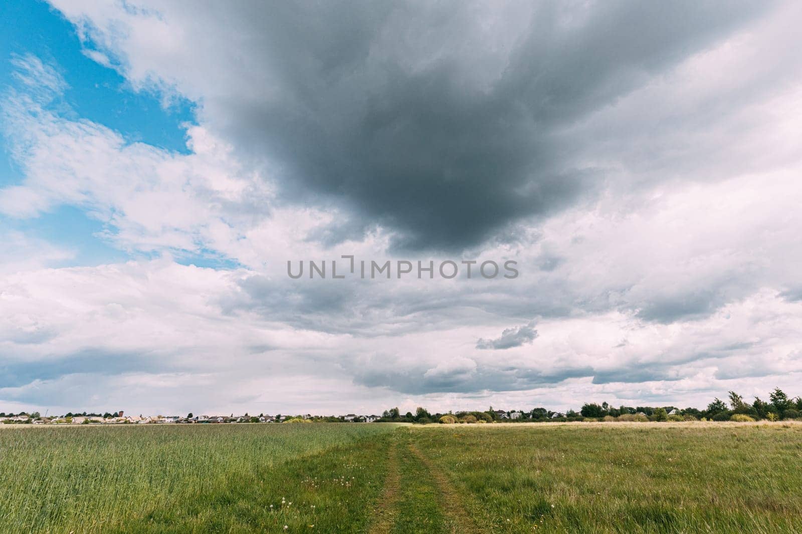 Country Road Through Spring Wheat Field. Pathway, Way, Open Road In Agricultural Landscape.