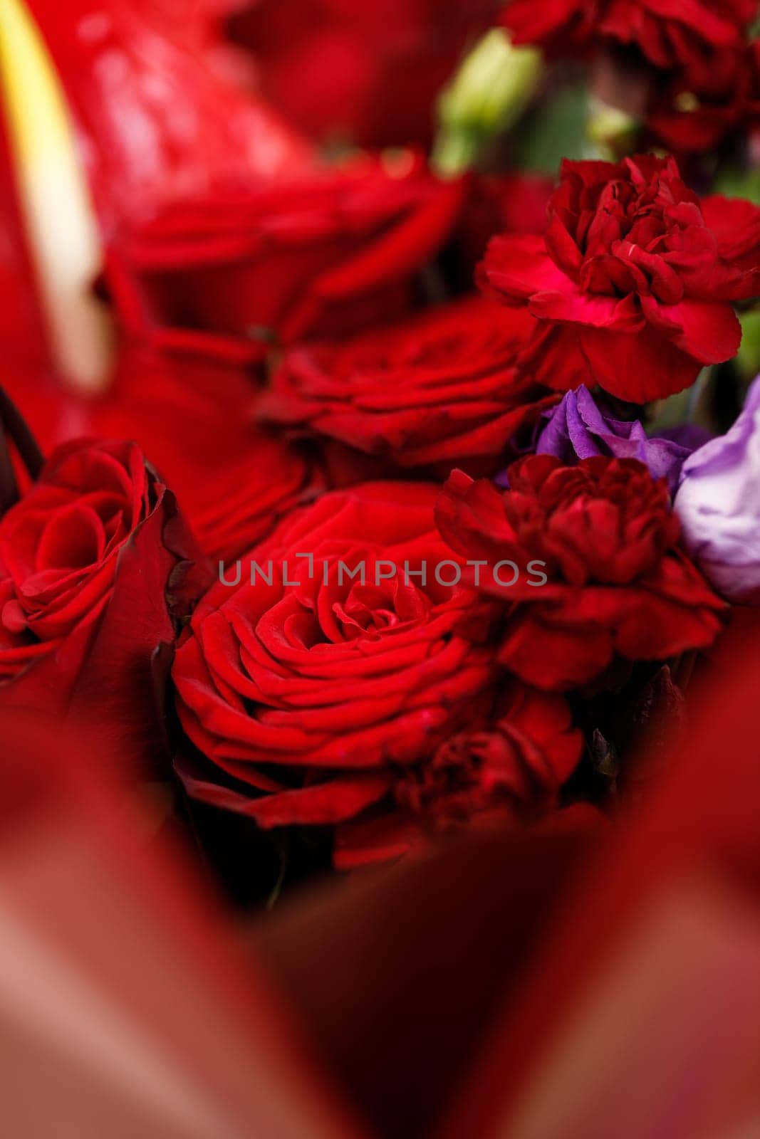 Beautiful large bouquet composed of red and purple flowers. Bouquet of roses, calla lilies and eustoma wrapped in red floral film and tied with purple satin ribbon closeup view