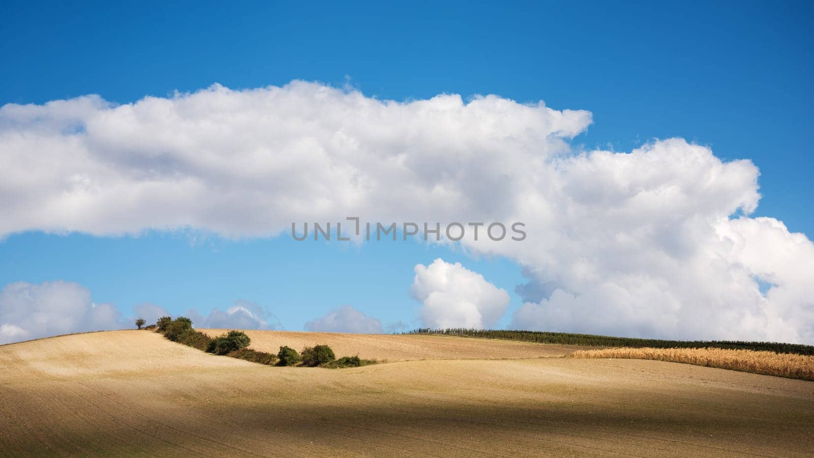 Aerial view of agricultural fields and sky with clouds