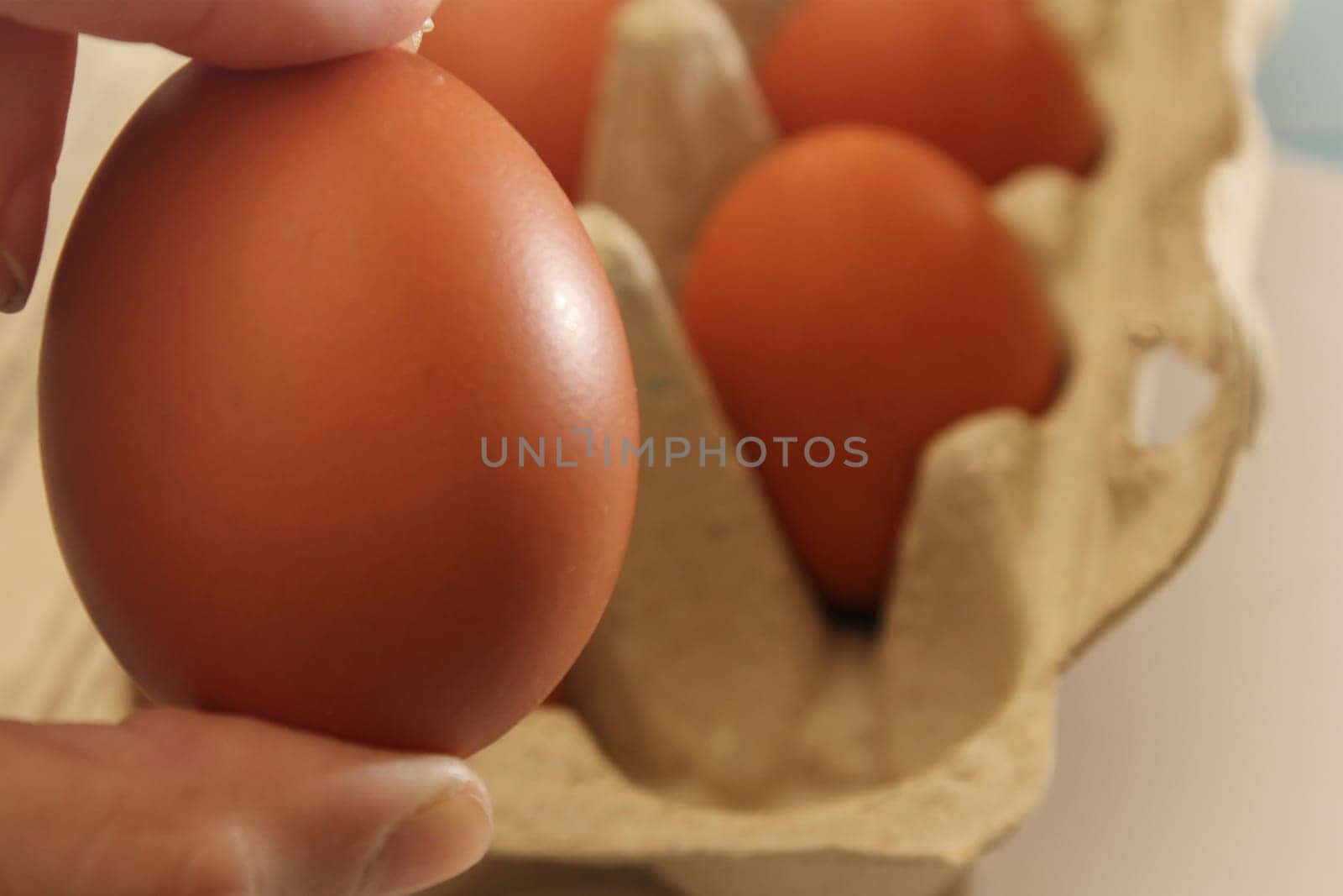 Chicken egg in hand close-up against the background of eco-friendly cardboard packaging. Healthy food concept. Ecology concept.