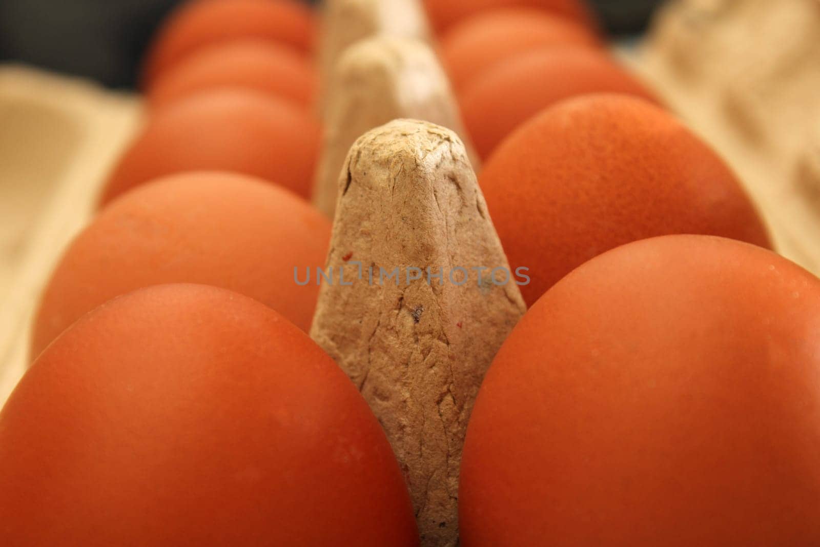 Chicken eggs in eco-friendly cardboard packaging close-up. Healthy food concept. Ecology concept.