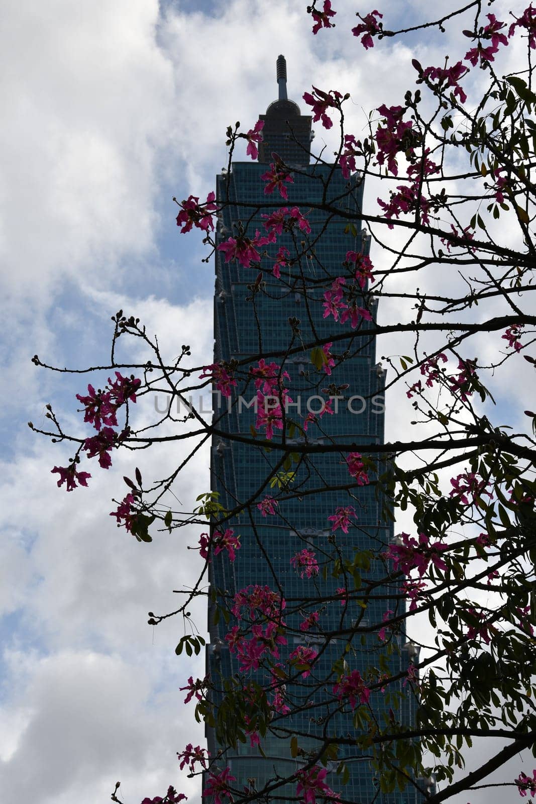 Vertical shot of the Taipei 101 skyscraper in Taipei, Taiwan