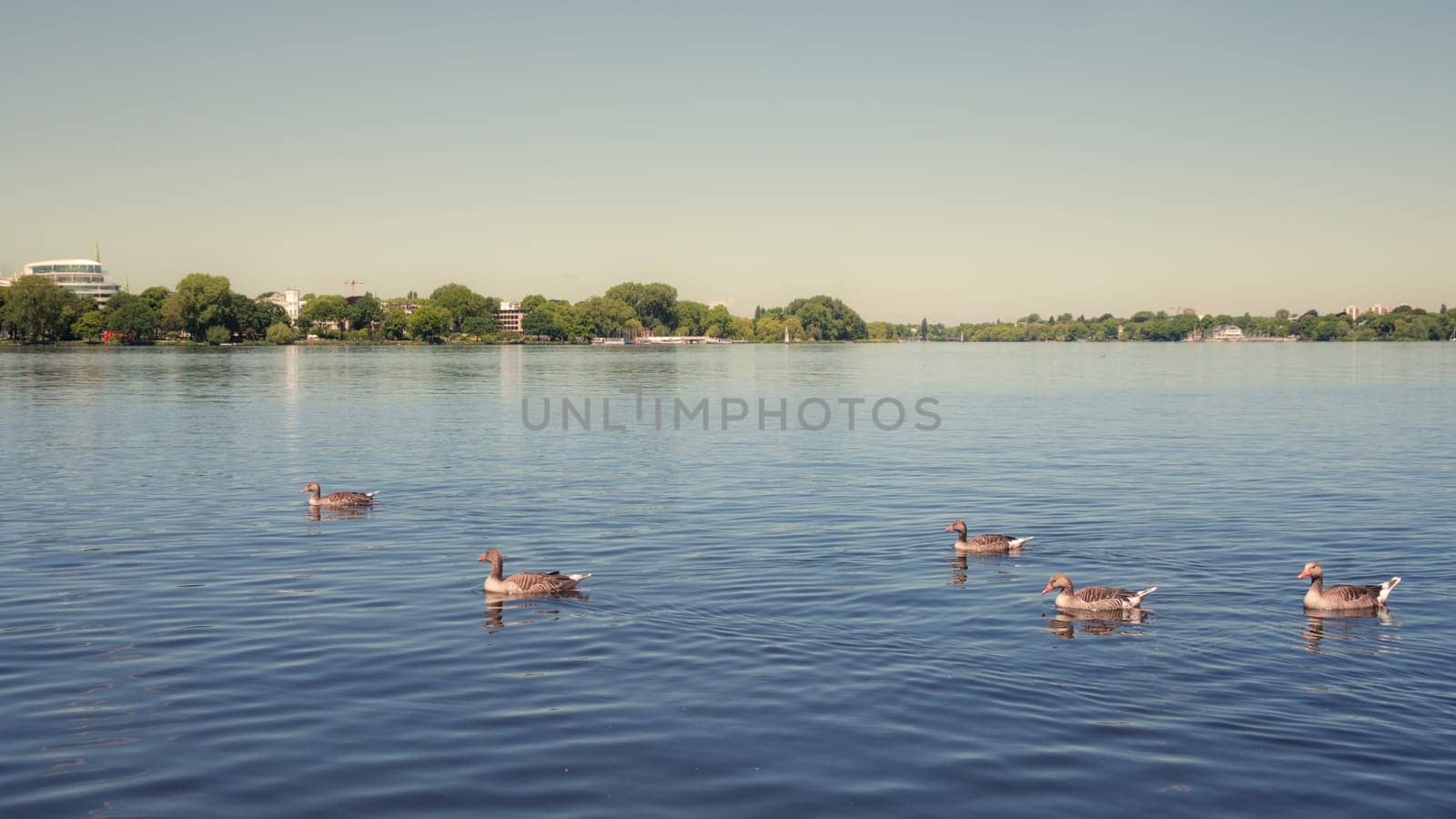 Aussenalster (Outer Alster lake) in Hamburg hdr