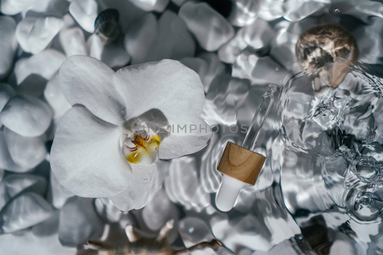 White orchid with facial pipette serum oil, essence cosmetic product on surface of water bottom with white stones and shells. Transparent fresh water with flecks and waves. Top view