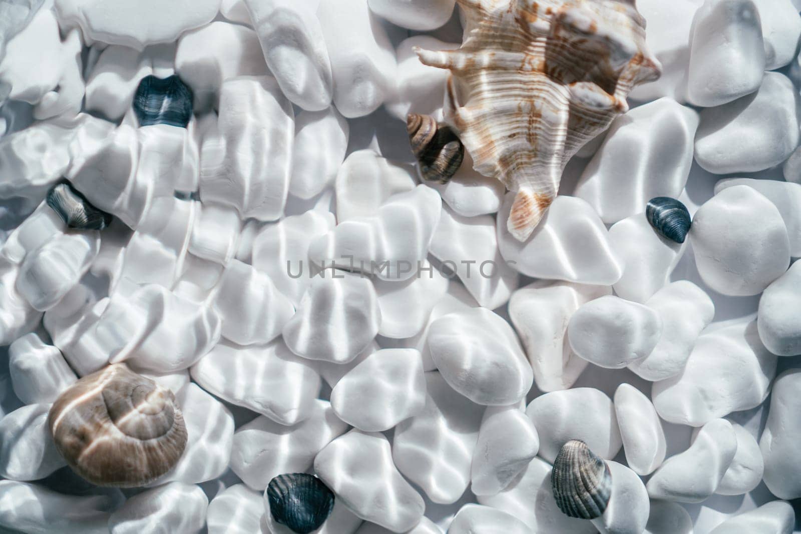 Creative background abstract image of medium-sized white black rounded smooth pebble stone and shells under transparent water with waves. Backdrop sea bottom pattern surface. Copy space. Top view